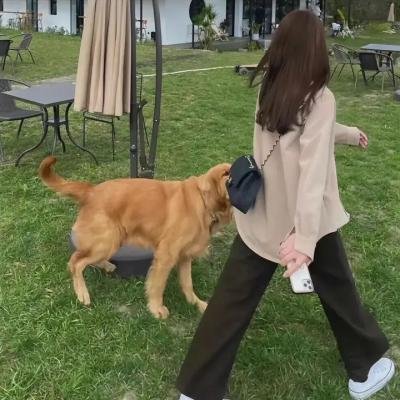 现在请开播